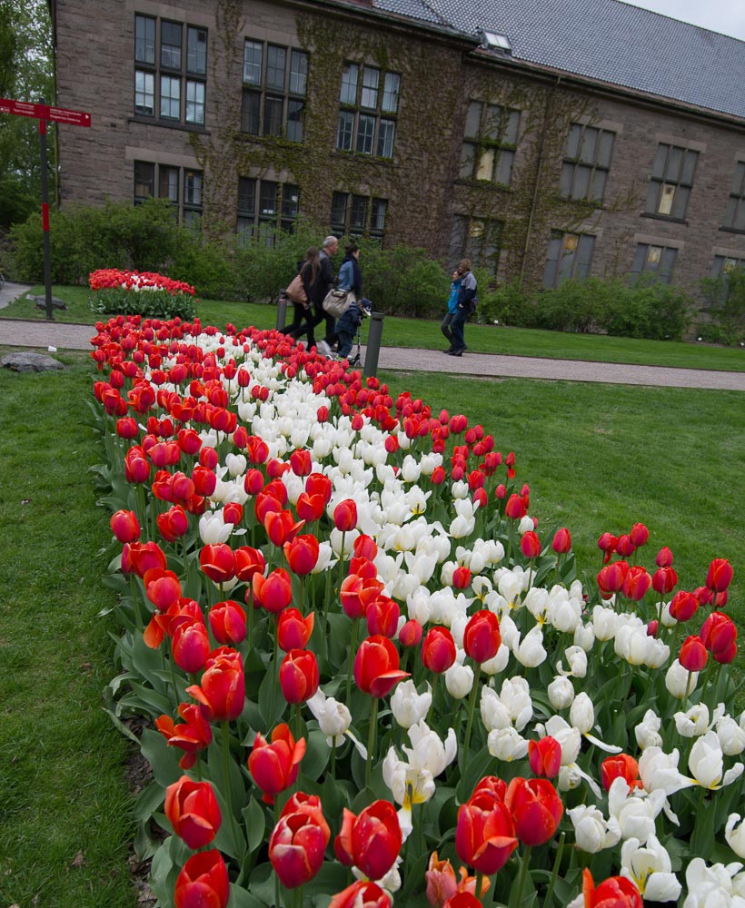 Pentax 645D / 16 Pentax 645D   16