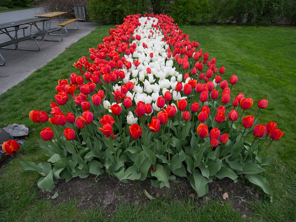 Pentax 645D / 16 Pentax 645D   16