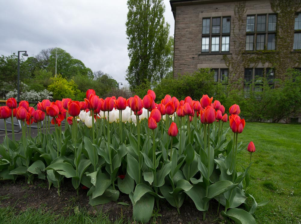 Pentax 645D / 16 Pentax 645D   16