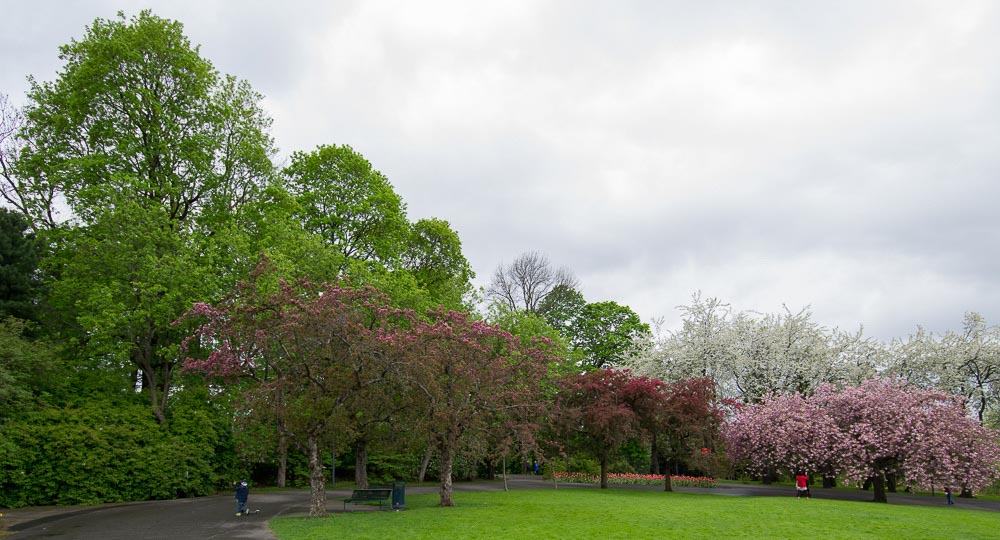 Pentax 645D / 16 Pentax 645D   16