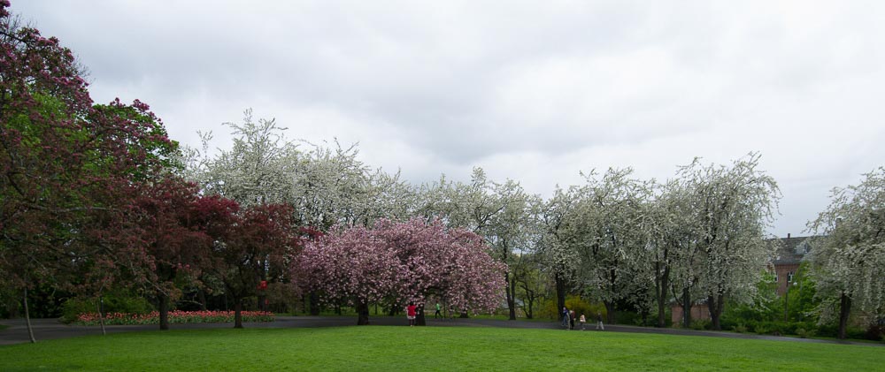 Pentax 645D / 16 Pentax 645D   16