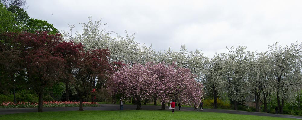 Pentax 645D / 16 Pentax 645D   16