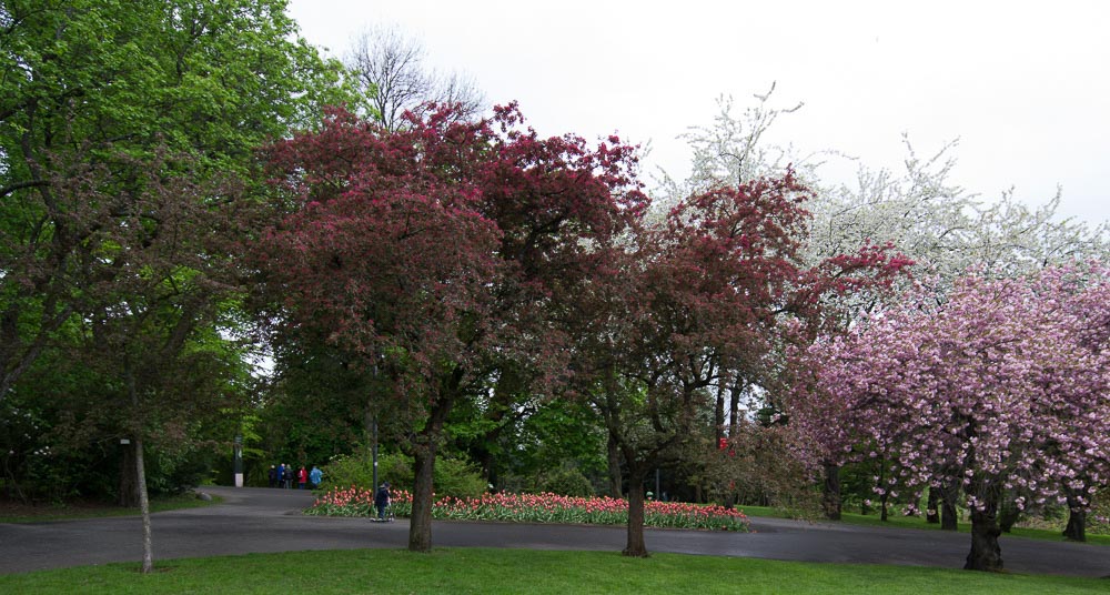 Pentax 645D / 16 Pentax 645D   16