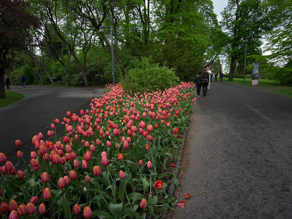 Pentax 645D / 16 Pentax 645D   16