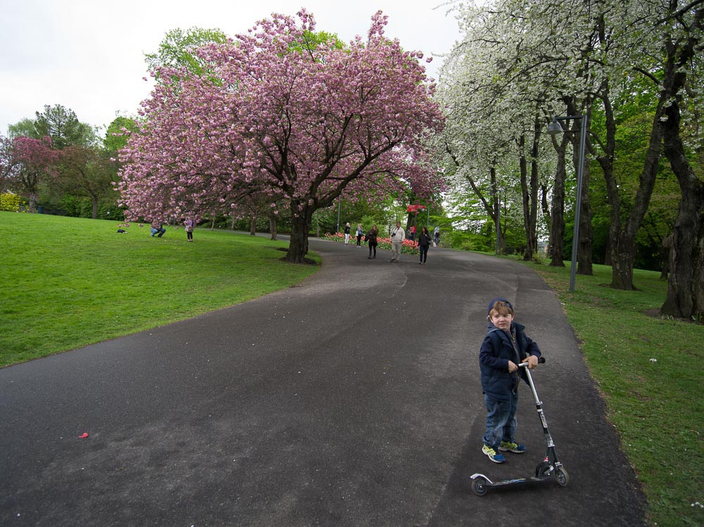 Pentax 645D / 16 Pentax 645D   16