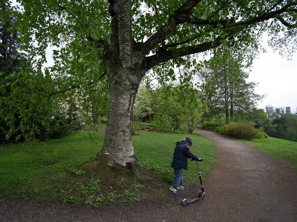 Pentax 645D / 16 Pentax 645D   16