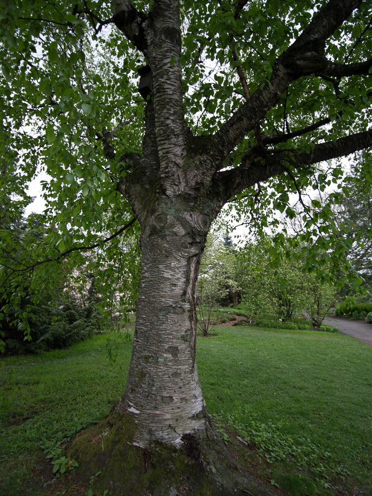 Pentax 645D / 16 Pentax 645D   16