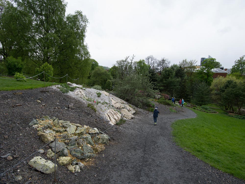 Pentax 645D / 16 Pentax 645D   16