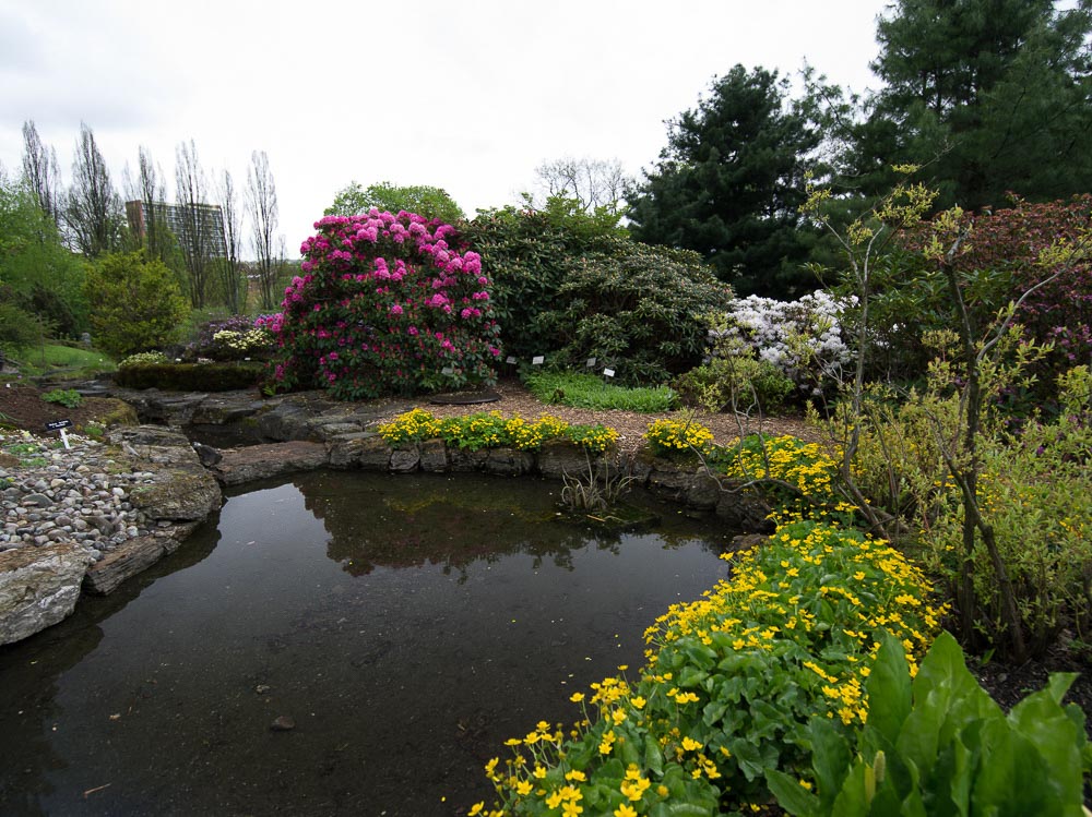 Pentax 645D / 16 Pentax 645D   16