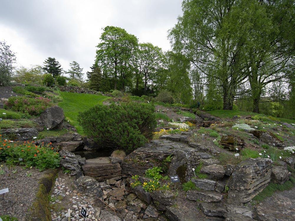 Pentax 645D / 16 Pentax 645D   16