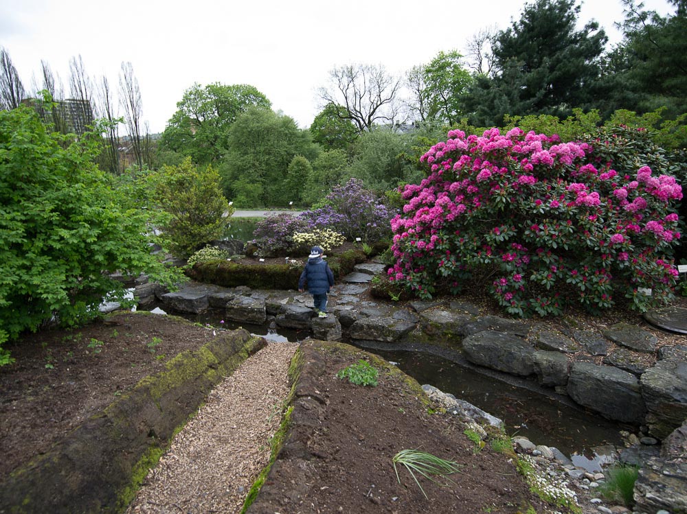 Pentax 645D / 16 Pentax 645D   16