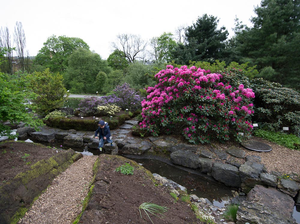 Pentax 645D / 16 Pentax 645D   16