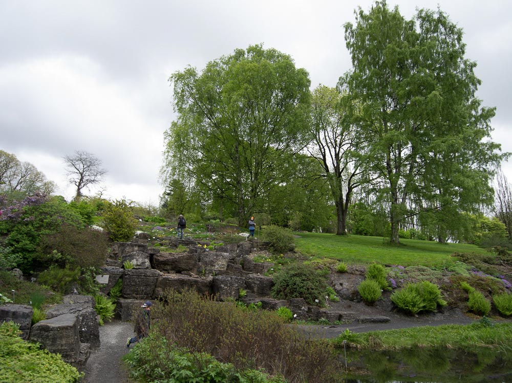 Pentax 645D / 16 Pentax 645D   16