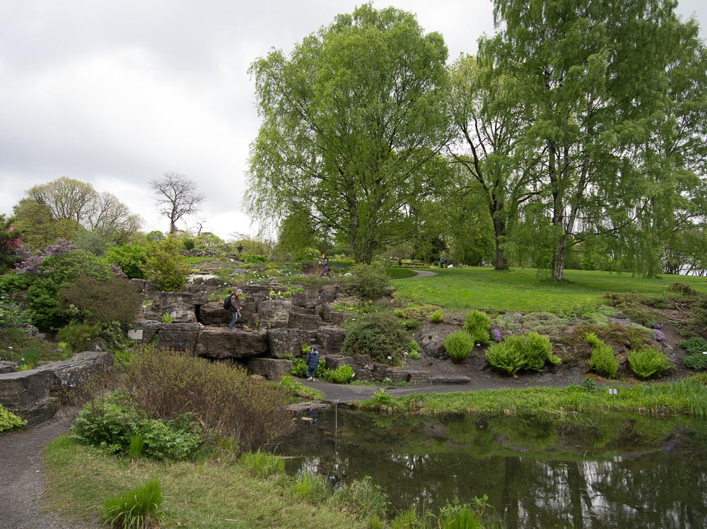 Pentax 645D / 16 Pentax 645D   16