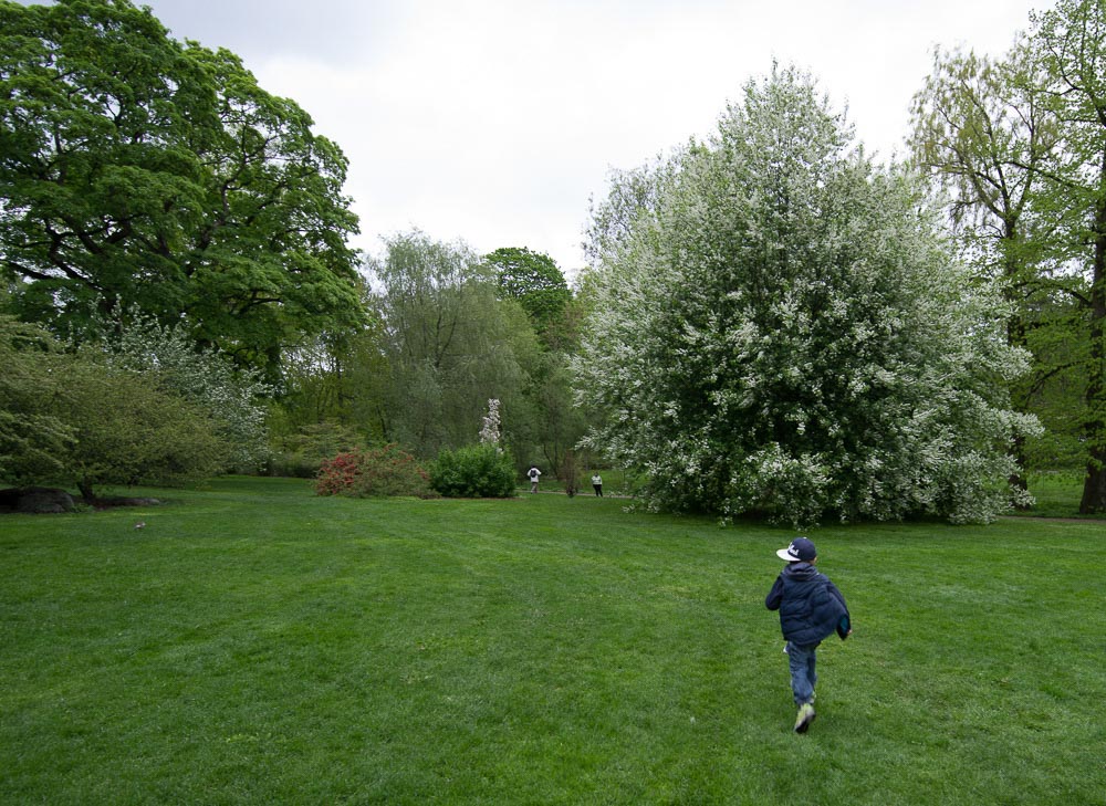 Pentax 645D / 16 Pentax 645D   16