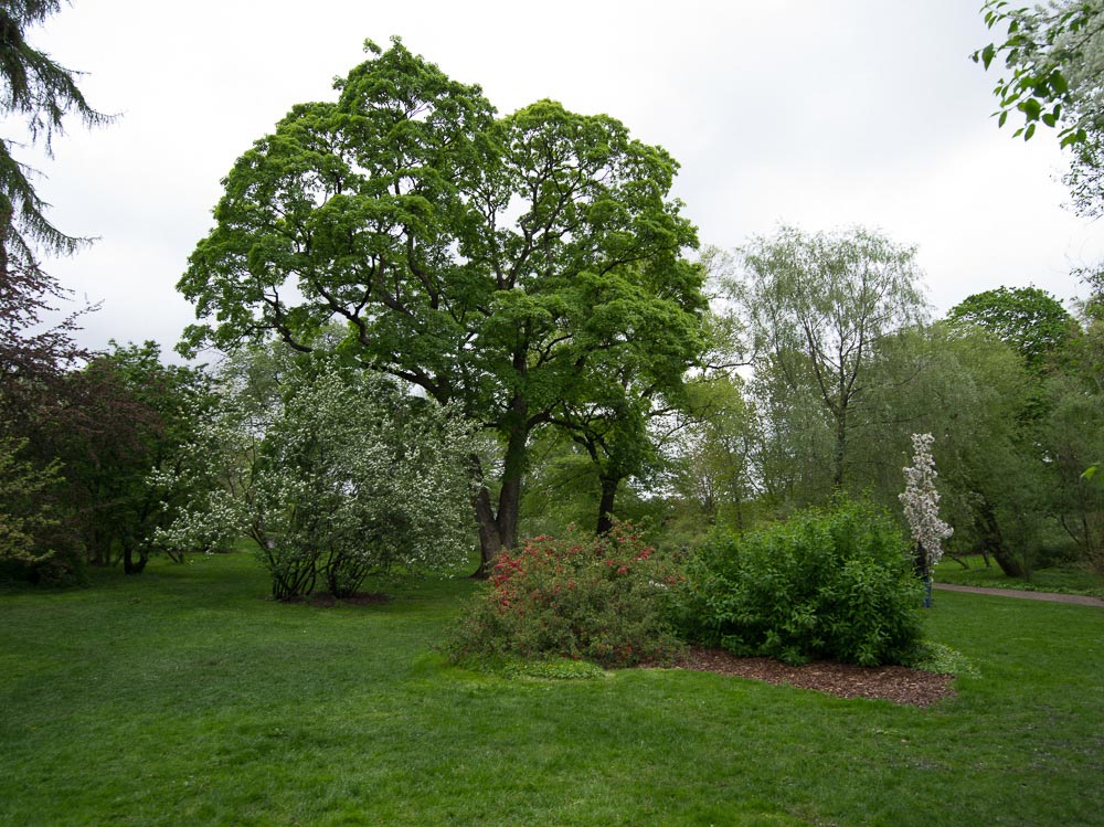 Pentax 645D / 16 Pentax 645D   16