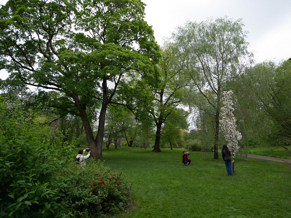 Pentax 645D / 16 Pentax 645D   16