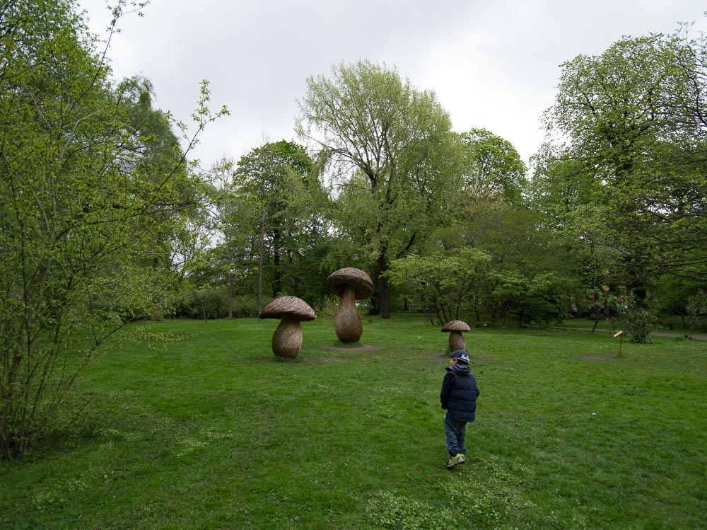 Pentax 645D / 16 Pentax 645D   16