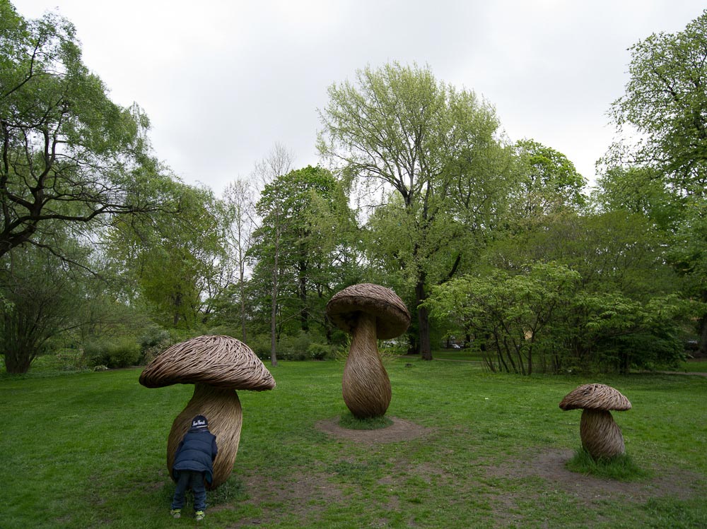 Pentax 645D / 16 Pentax 645D   16