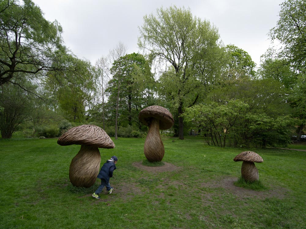 Pentax 645D / 16 Pentax 645D   16