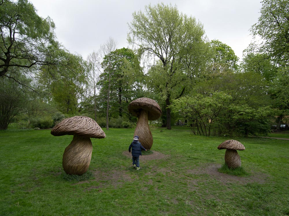 Pentax 645D / 16 Pentax 645D   16