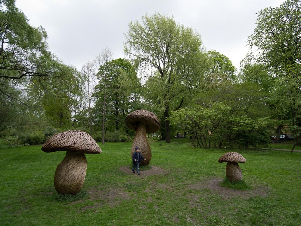 Pentax 645D / 16 Pentax 645D   16