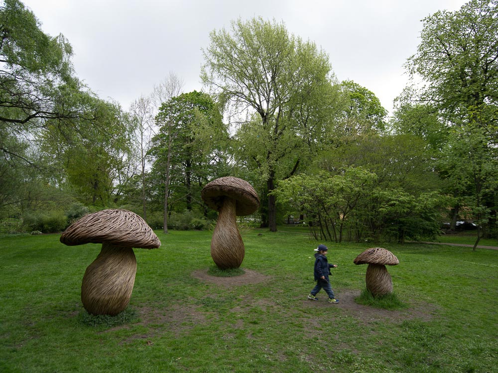 Pentax 645D / 16 Pentax 645D   16