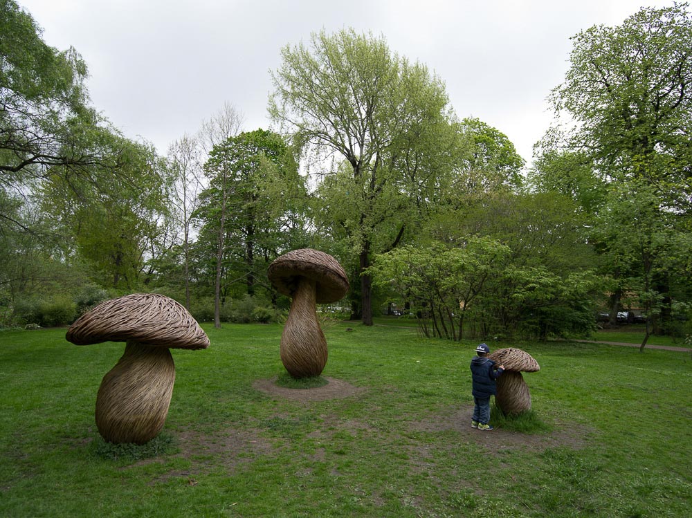 Pentax 645D / 16 Pentax 645D   16