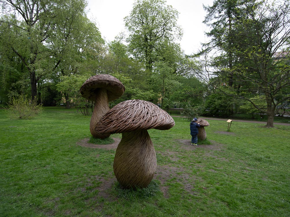 Pentax 645D / 16 Pentax 645D   16