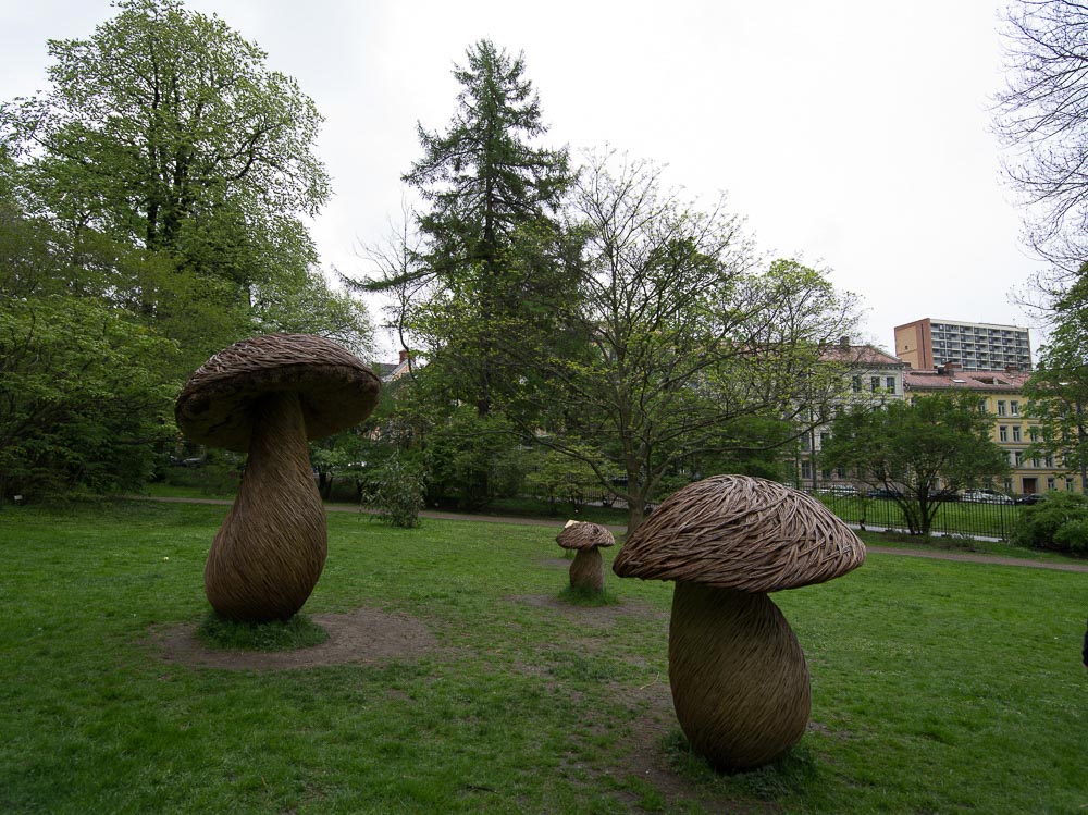 Pentax 645D / 16 Pentax 645D   16