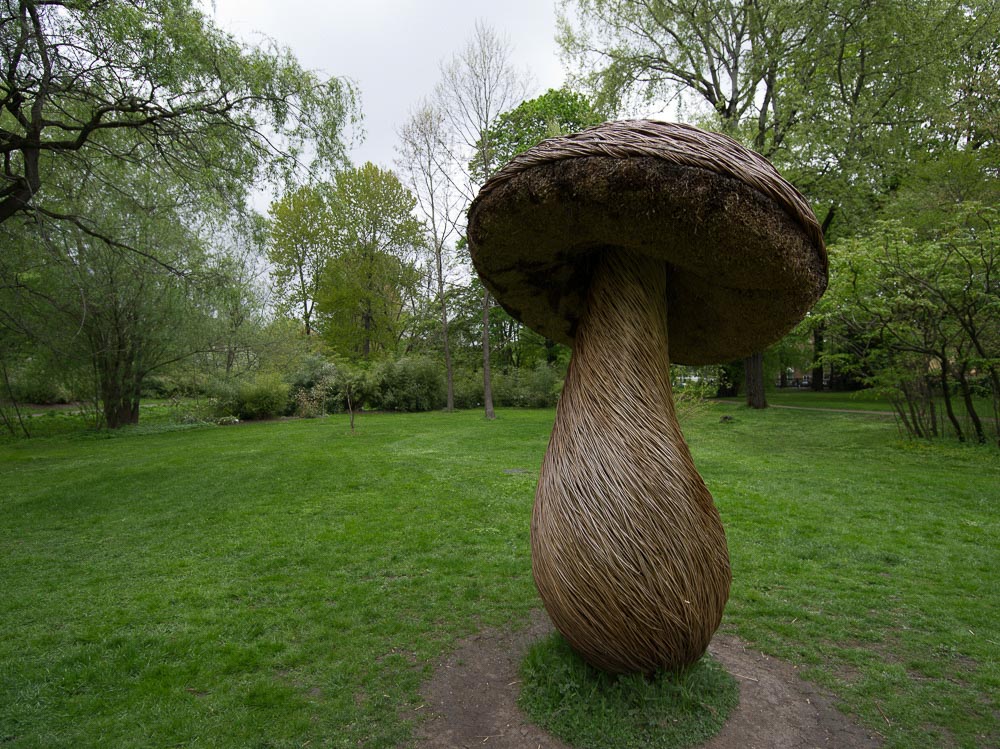 Pentax 645D / 16 Pentax 645D   16