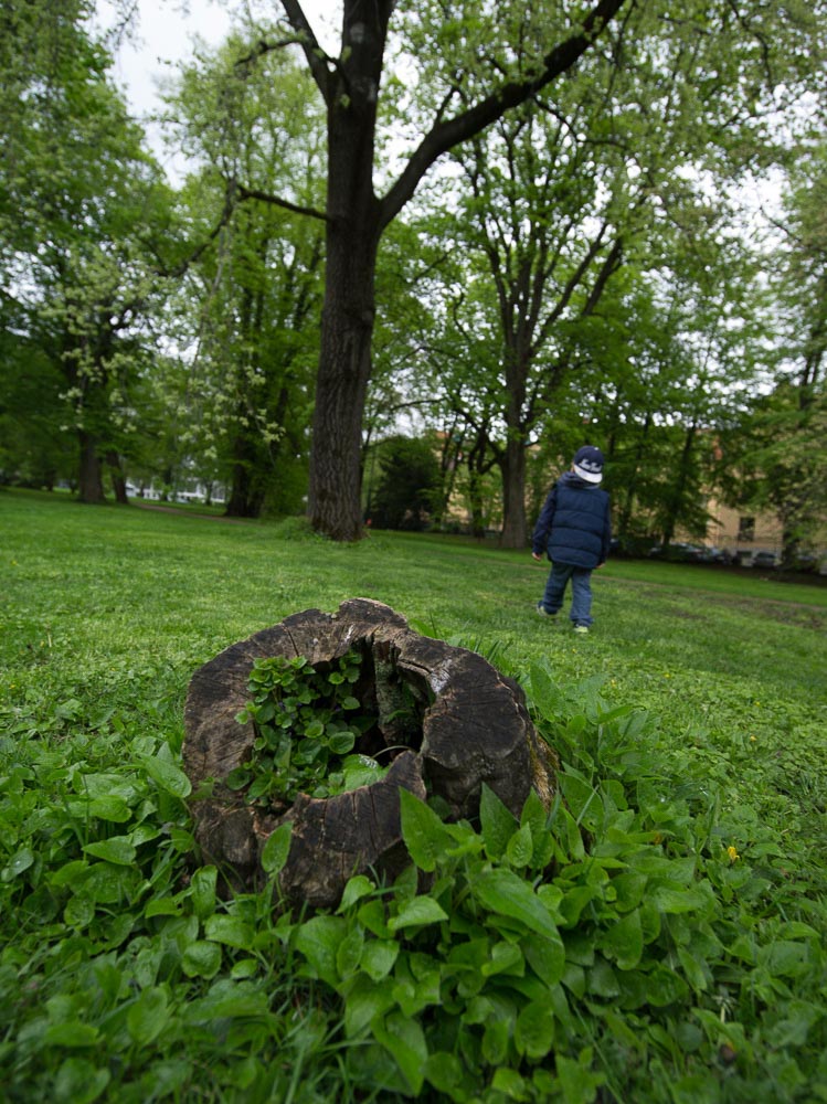 Pentax 645D / 16 Pentax 645D   16