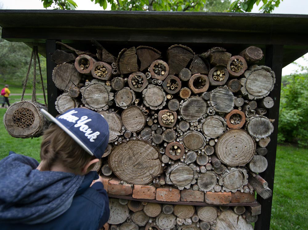 Pentax 645D / 16 Pentax 645D   16