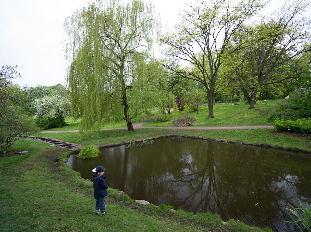 Pentax 645D / 16 Pentax 645D   16