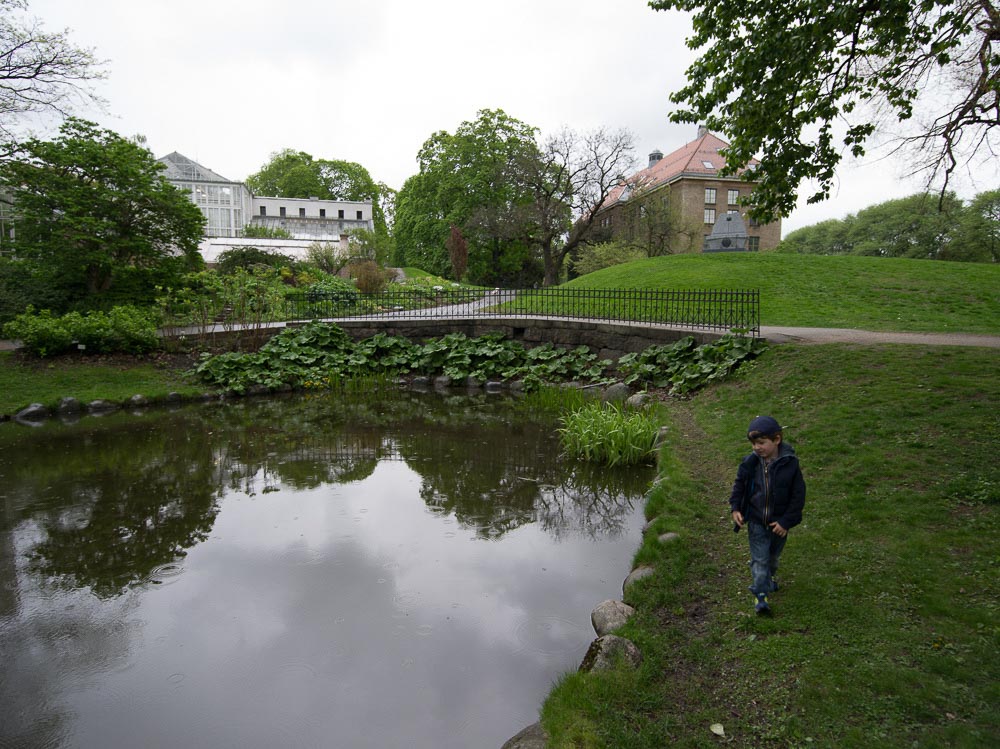 Pentax 645D / 16 Pentax 645D   16