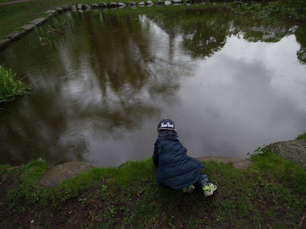 Pentax 645D / 16 Pentax 645D   16