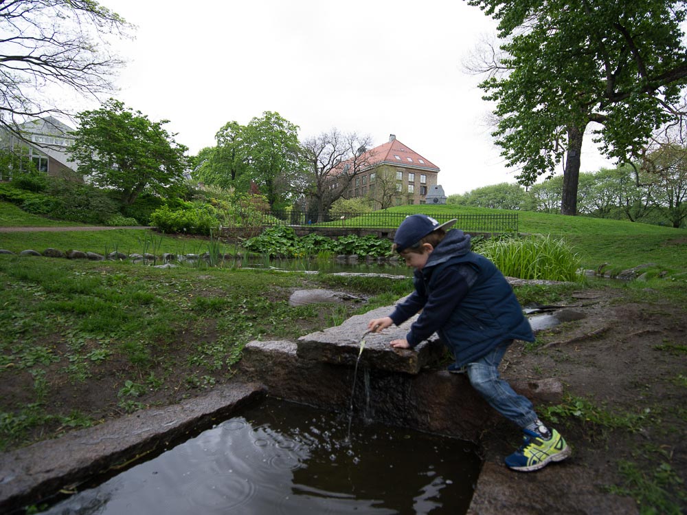 Pentax 645D / 16 Pentax 645D   16