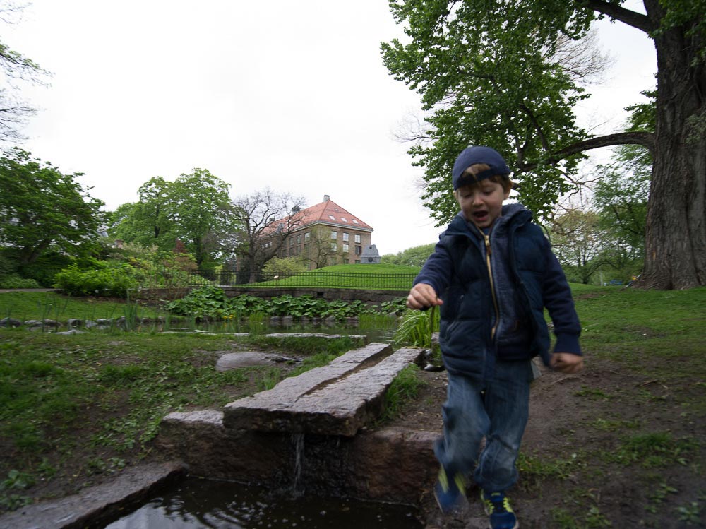 Pentax 645D / 16 Pentax 645D   16