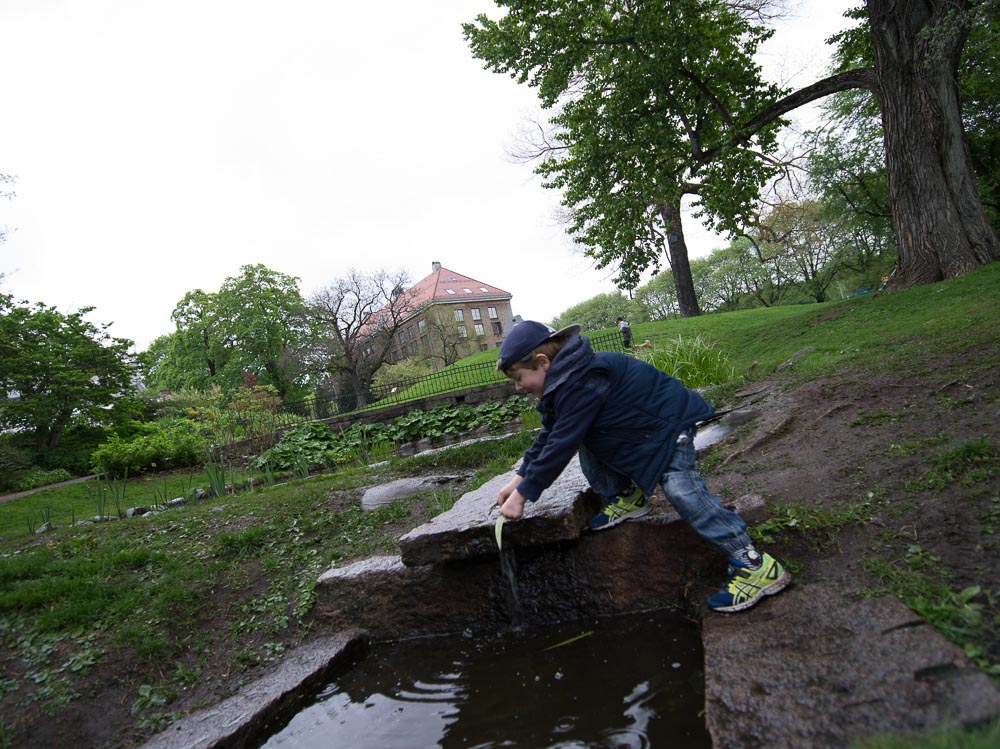 Pentax 645D / 16 Pentax 645D   16