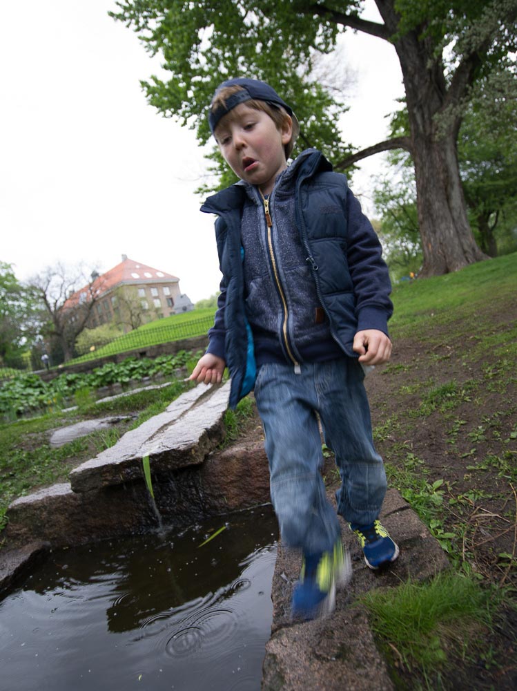 Pentax 645D / 16 Pentax 645D   16