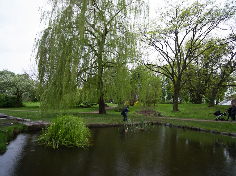 Pentax 645D / 16 Pentax 645D   16