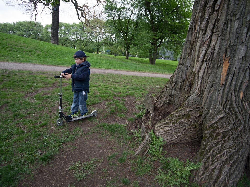 Pentax 645D / 16 Pentax 645D   16