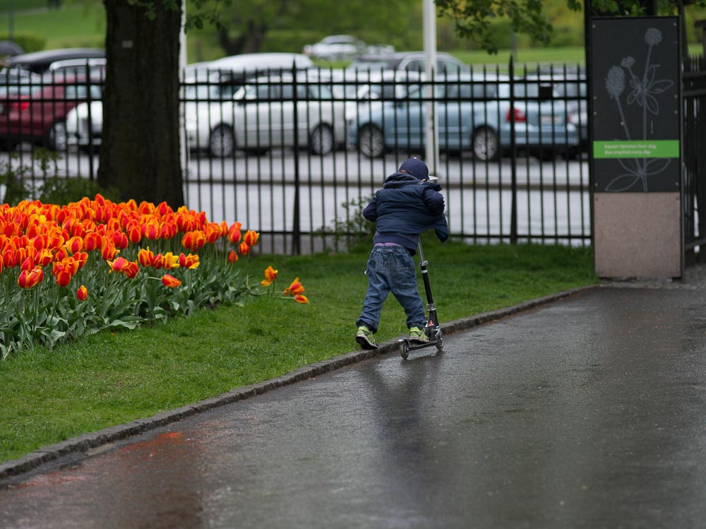 Pentax 645D / 16 Pentax 645D   16