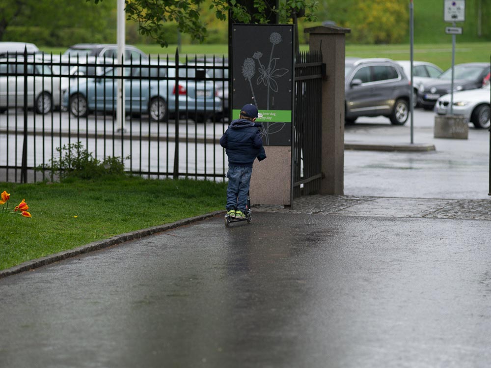 Pentax 645D / 16 Pentax 645D   16