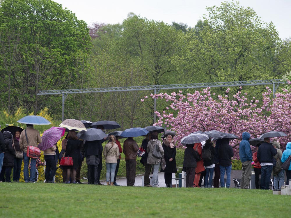 Pentax 645D / 16 Pentax 645D   16