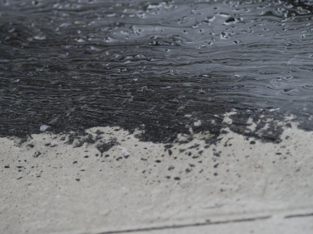 Pentax 645D / 16 Pentax 645D   16