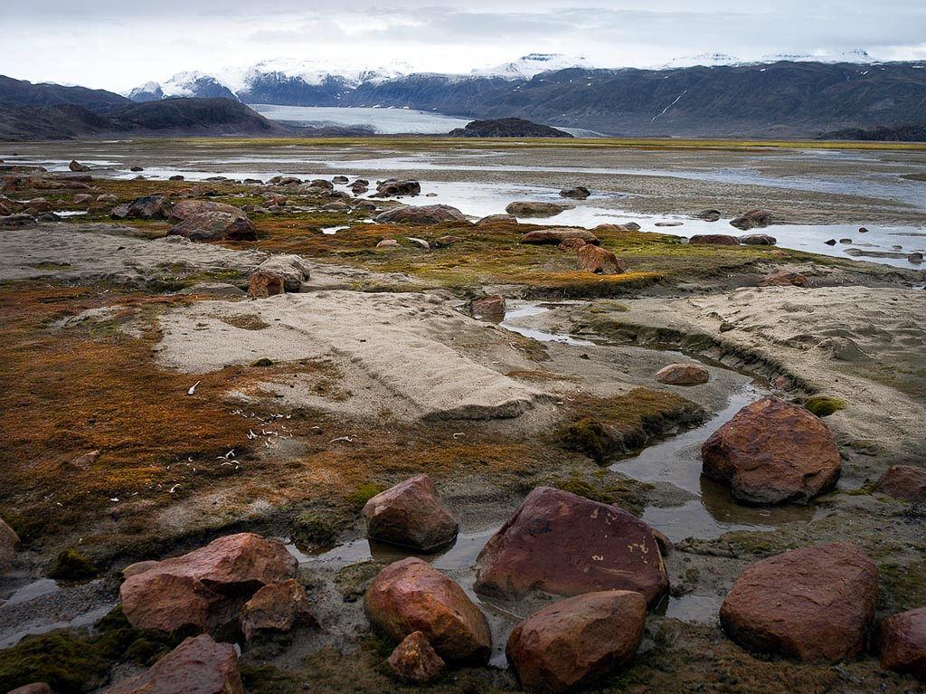 Pentax 645D / 1 Pentax 645D   1