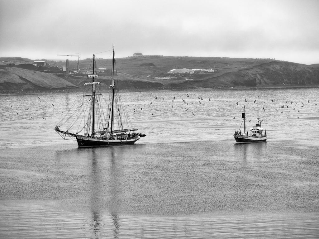 Pentax 645D / 18 Pentax 645D   18