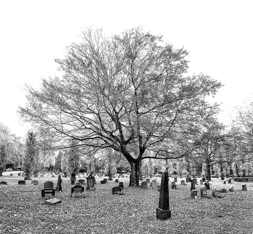 Pentax 645D / 6 Pentax 645D   6