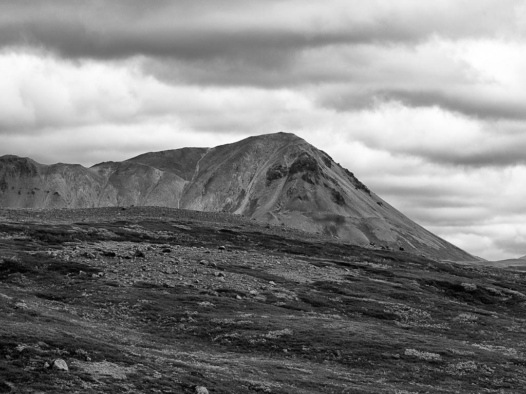 Pentax 645D / 13 Pentax 645D   13